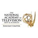 Emmy Award Diversity Equity and Inclusion 